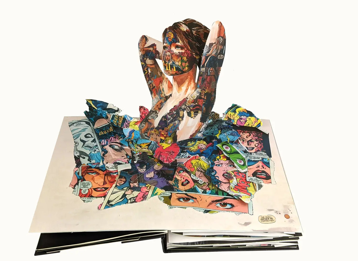 Sandra Chevrier Cages Pop Up Book