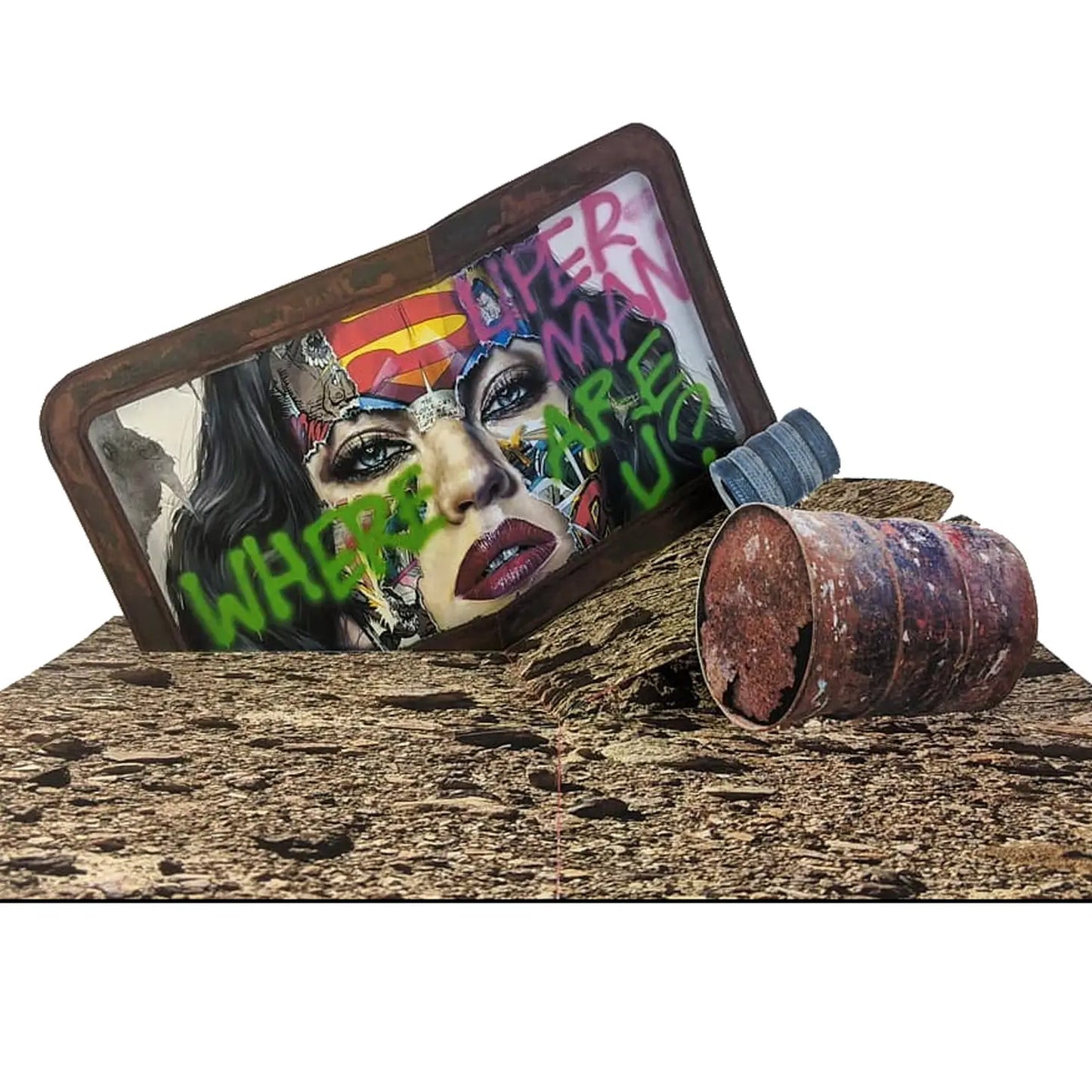 Sandra Chevrier Cages Pop Up Book